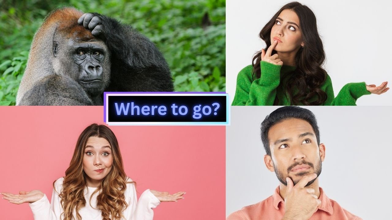 Where to go