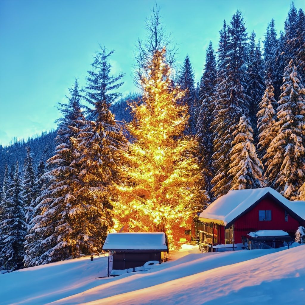 winter wonderland ski resort 0410 5699507